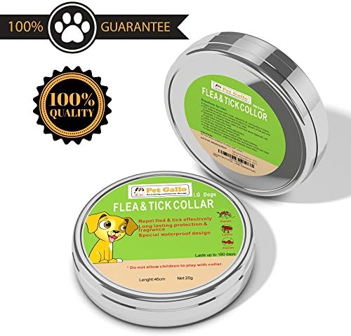 Pet Gallo Flea & Tick Dog Collar Protects Your Pet for 6 Months, Fully Adjustable, Water Proof, Stops Bites & Itching, Kills Insect Eggs, 15% Tatrachlorvinphos, 60cm/23.5in Length (Large)