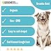 Fur Goodness Sake Kennel Cough Medicine for Dogs - Organic Dog Cough Medicine for Colds & Allergies - Natural Kennel Cough Treatment with Mullein Leaf & Elderberry