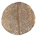 Djembe Drum African Goatskin Replacement Head, Hair-off Goat Skin From Mali
