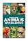 Livro Mundo Animal: Animais Brasileiros