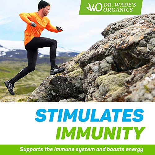 Liquid Chlorophyll for Total Detox MAX Absorption Pure Vegan