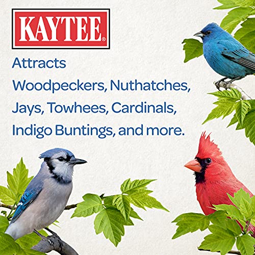 Kaytee Shelled Peanuts For Woodpeckers, Nuthatches, Jays, Towhees