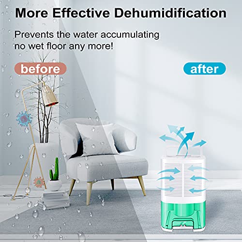 MADETEC Upgraded Dehumidifiers for Home (480 Sq.ft), Small Portable Dehumidifier with Drain Hose and 64oz Water Tank , Ideal for Basements Bedroom Bathroom Closet Kitchen RV