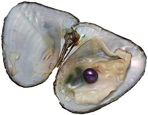 Freshwater Cultured Pearl Oyster with Pearl Inside Sold By PC 14 Colors for Choice (9-9.5mm)