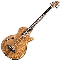 ESP LTL4ZNAT 4-String Acoustic-Electric Bass Guitar
