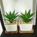 Winlyn 3.3 Inch White Ceramic Contemporary Square Design Succulent Plant Pot/Cactus Plant Pot with Bamboo Tray - Pack of 3