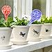 Senjie 4pcs Self Watering Globes,Plant Flowers Small Automatic Watering Bulbs Set for Potted Garden Outdoor Indoor 6