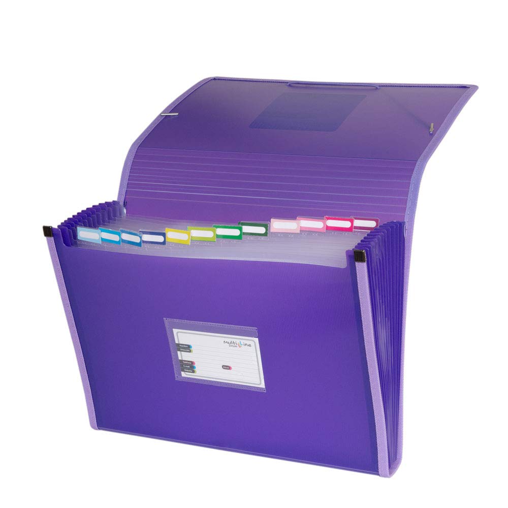 grafoplás 02963035-carpeta Accordion, Foolscap, Purple