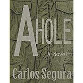 A Hole: a Novel