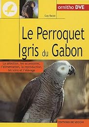 Le  perroquet gris du Gabon