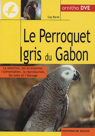 Le  perroquet gris du Gabon