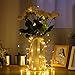Birsppy Ittiot Fairy String Lights 33ft with 100 LEDs, Christmas Lights Waterproof Outdoor & Indoor Decorative Lights for Bedroom, Garden, Patio, Parties, UL Power Supply Copper Wire Lights
