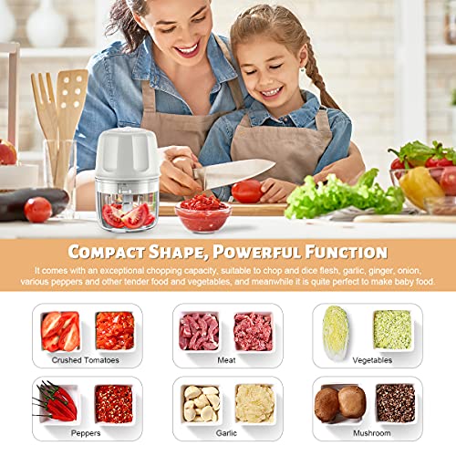 Electric Mini Garlic Chopper Mini food Chopper Electric Mini Chopper