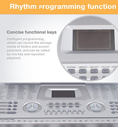 LAGRIMA 61 key Portable Electric Piano Keyboard, Include LED Display, USB/Headphones/MP3 Input, Music Stand, Power Supply and Microphone, Suit for Kids(Over 8 Years Old) Teen Adult Beginners, Silver