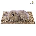 SunGrow Natural Seagrass Mat : Hand Woven, Safe & Edible for Hamsters, Rabbits, Parrot: Water Resistant & Non-Toxic Chew Toy Bed