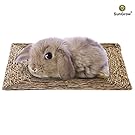 SunGrow Natural Seagrass edible chew mat for rabbits, chinchillas, guinea pigs and rodents by Ideal as bed for extra comfort - Pet loves chomping, gnawing and digging on hand-woven sturdy grass mat