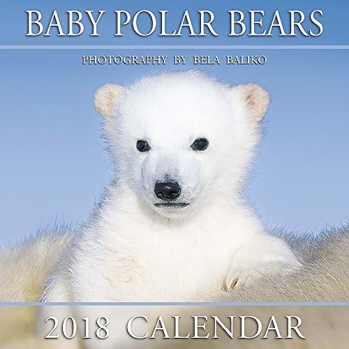 2018 Baliko Baby Polar Bears Wall Calendar