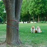 Amazon Basics Dog Tie Out Cable Up to 125 lbs 230 ft Red view 4
