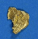 Alaskan-Yukon BC Gold Rush Natural Gold Nugget 0.25
