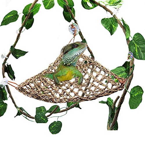 Bearded Dragon Hammock Set, Seagrass Lizard Lounger Climbing Jungle