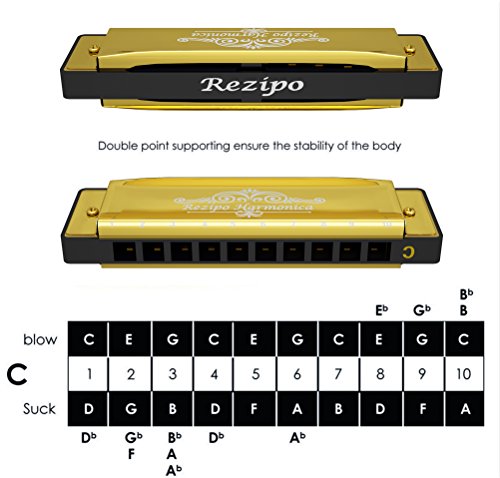 image for 2 PCS Diatonic Harmonica Standard 10 Hole 20 Tones Harmonica Key of C 