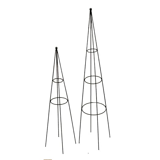 STSERI Soporte para Plantas Escalada Vid Soporte para Flores Flor ...