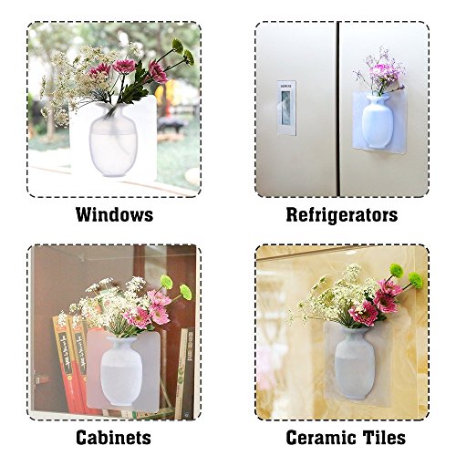 6 ELASTIX+ANTIGRAVITY+SILICONE+DECORATION+RESTAURANT