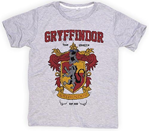 Aldebarun15 Gryffindor Quidditch Team Harry Potter Light Gray T-Shirt Tee Short Sleeve (M)