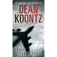 Sole Survivor: A Novel book cover
