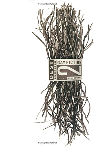 Best American Gay Fiction #2