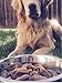 PLATO, Pet Treats, Original Real Strips Turkey & Pumpkin 12oz