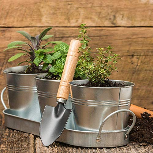 Kicko Large Galvanized Metal Buckets Bulk 6 Pack with Handle 5 X 4.