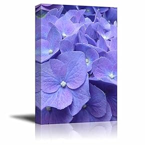 Canvas Prints Wall Art - Hydrangea Flowers | Modern Wall Decor/Home Decoration Stretched Gallery Canvas Wrap Giclee Print. Ready to Hang - 12" x 18"