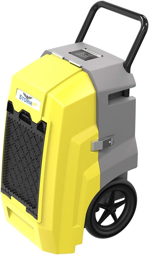 Best basement flooding carpet clean up