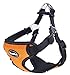 BINGPET No Pull Dog Harness Reflective for Pet Puppy Freedom Walking Large Orange