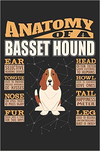 basset hound back legs not working