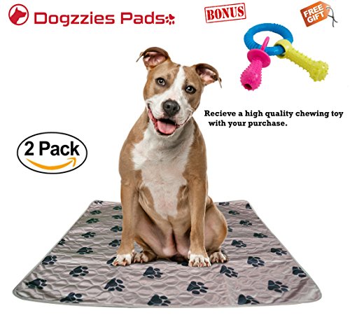 2 pack Washable Pee Pads for Dogs, Pets, Puppy, Housebreakin