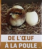 de l'oeuf à la poule by