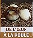 de l'oeuf à la poule by