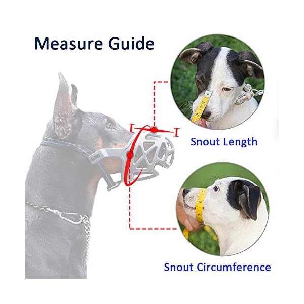 best dog muzzle to stop biting