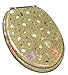 Ginsey Home Solutions Elongated Resin Toilet Seat, Sea Isle 59718