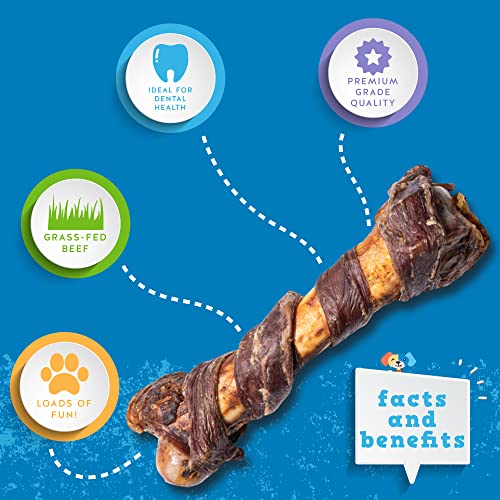 Jack&Pup Pork Femur Dog Bones for Aggressive Chewers (3 Pack) 10" All