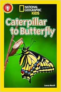 National Geographic Readers Caterpillar to Butterfly