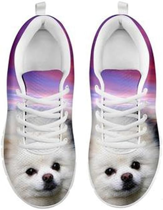 Shoetup Cute Pomeranian Dog Print Women's Casual Sneakers
