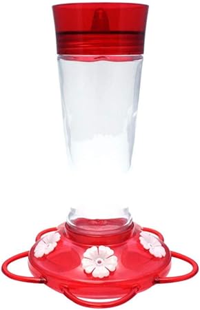 Amazon Com More Birds Ruby Hummingbird Feeder Glass Bottle 5