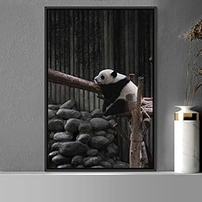 signwin Framed Canvas Wall Art Panda Animals Bear...