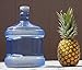 New Wave Enviro BPA-Free Reusable Plastic Water Bottle 2 Gallon - Made in USA, Blue, Large