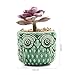 SUN-E 2.75 Inch Ceramic Owl Pattern Succulent Cactus Plant Pots Flower Pots Planters Containers Window Boxes Bonsai Pots Perfect for Candle Holder with Small Hole 6 Colors in Set