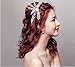 BABEYOND 1920s Flapper Headband Great Gatsby Inspired Art Deco Headpiece Vintage 20s Flapper Gatsby Accessories Silver Tone (Style 1)