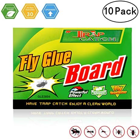 Fly Trap, Fly Paper, Fruit Fly Trap,Effective & Portable Fly Traps Outdoor Indoor Use-10 Pack